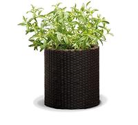 Keter Pot de Fleurs Moyen en rotin, Base Ronde, 100% matériau recyclé, 36 x 36 x 37,3 cm, capacité 18 l, Couleur Marron Chocolat