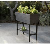 Keter Urban Bloomer Bac surélevé Anthracite Système d'arrosage Balcon 82x38x78 cm 48L Culture maraîchère
