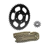 Kettensatz 3-teilig schwarz 12/43 Zähne für Hercules Supra 2D / Supra 4 Chopper