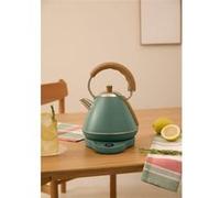 KETTLE RETRO PRO - Bouilloire électrique 1 L avec contrôle de température - Sauge Sage