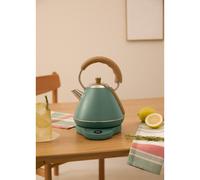 KETTLE RETRO PRO - Bouilloire Électrique 1 L Avec Contrôle De Température Vert Sauge