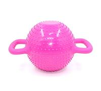 Kettlebells Réglable Yoga Portable Bouilloire Cloche Kettlebell Rempli D'Eau Force Traning Home Gym Fitness,Magenta