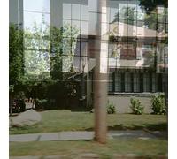 Kevin Krauter - Magnolia