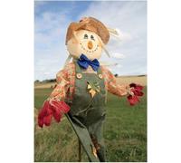 Kevin Milner - Paysage - Carte de voeux "Scarecrow" - Carton BZ3981 (Taille unique) (Coloré)