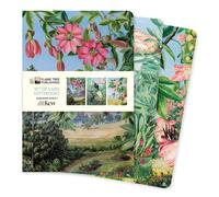 Kew Gardens: Marianne North Set Of 3 Midi Notebooks