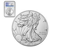 KEWEIYASW Spread Eagle, American Eagle Ocean Commemorative Coin, Silver Plated, Statue of Liberty Coin(2018)