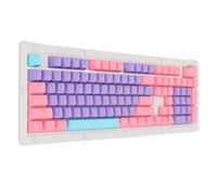 Keycaps PBT, Moulage par Injection Bicolore Couche Translucide Clavier Mécanique Keycap, 108 Touches OEM Keycaps Set pour 61/64/68/72/82/84/87/104/108 la Plupart des Claviers (Violet Rose Bleu)