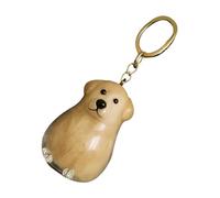 Keychain Collecteur De Poils De Chien - Pendentif À Mémoire De Compagnie, Souvenirs De Fourrure Animale | Charme Compact Hair Holder, Mini Memorial Ash Organisateur Avec Clip Pour Les Femmes Utilisati
