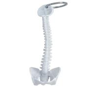 Keychain de la colonne vertébrale, porte-clés de squelette de colonne vertébrale humaine 6 pouces portefeuille squelette réaliste .croisse d'enseignement de squelette humain nouveau-squelette nouveau