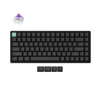 Keychron K2 HE Clavier Magnétique sans Fil, 2.4Ghz/Bluetooth/USB-C, RGB, Hot-Swap, QMK/Via, Gateron Magnetic Switch Nebula, Compatible avec Mac Windows Linux, Standard Edition Nègre