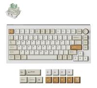 Keychron Lemokey L5 HE Interrupteur magnétique Custom Gaming Keyboard Down Master - Lemokey Interrupteur magnétique ultra rapide Lime (KBKCL5WP1)