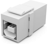 Keystone Module Avec Prise Usb 2.0 Bf/Af Keystone Multimédia Pour Panneau De Brassage, Support Keystone, Adaptateur, Coupleur, Plug & Play, Blanc[GBP6274210]