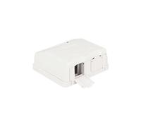 Keystone Surface Mounted Box - Boîtier d'insertion modulaire - blanc - 2 ports