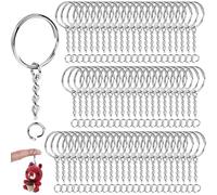 Kezidhp 80 Pièces Porte-Clés en Acier Inoxydable 25mm avec Chaînes - Kit de Fabrication de Bijoux DIY pour Collier, Bracelet, Bricolage - Argenté Antirouille