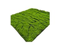 KFDDO Simulation De Plantes Vertes Mousse Artificielle Vertes pour Le Bureau Jardin, Balcon, Salon Magasin PéRiode NoëL(A)