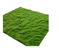 KFDDO Simulation De Plantes Vertes Mousse Artificielle Vertes pour Le Bureau Jardin, Balcon, Salon Magasin PéRiode NoëL(O)