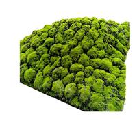 KFDDO Simulation De Plantes Vertes Mousse Artificielle Vertes pour Le Bureau Jardin, Balcon, Salon Magasin PéRiode NoëL(W)