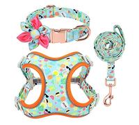 KFGISD, Ensemble de laisses for Chien, Collier imprimé Vert, Ensemble de laisses, Harnais et Laisse de Marche personnalisés for Chiens de Taille Moyenne et Grande, M,Harnais pour Chien(S)