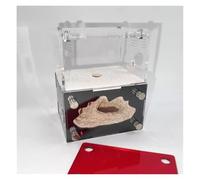 KFGISD, Fourmilière en béton, Tour d'eau hydratante, nid de Fourmis, château de Fourmis en Acrylique for l'éducation Scientifique, Maison de Fourmis,Colonie de Fourmis(White)