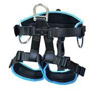 KFGISD, Harnais de sécurité, équipement d'escalade, protection contre les chutes, demi-corps, travail en hauteur, sécurité/bleu,Harnais de sécurité(Blue)