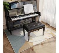 KFGISD, Tapis de Sol antidérapant for Chambre à Coucher, paillasson d'intérieur, paillasson d'entrée,Tapis insonorisant pour Piano(D,140x160cm)
