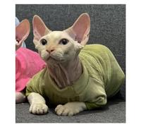 KFGISD, Vêtements for Chats en Velours élastique et Coton, vêtements for Chats Sphynx et Autres Chats Invisibles ，Vêtements pour Chats(Green Short Sleeve,XL)
