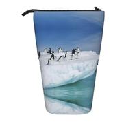 Kfjghhl Grande trousse légère motif pingouin Snow Mountain pour fille et adulte