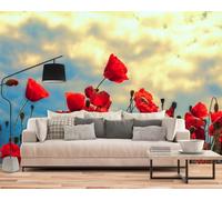 kfjhgbdshhj Papier peint intissé à motif de champs de coquelicots rouges et de ciel, style moderne, pour salon, chambre ou chambre d'enfant, 250 cm x 175 cm.