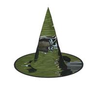 KFRXXZQB Loon Nature Bird - Chapeau d'Halloween à couverture complète - Couvre-chef de sorcière pliable pour festivals, Larp et fêtes 2 pièces
