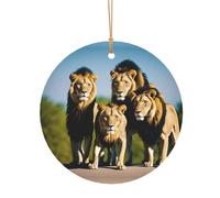 KFRXXZQB Un lot de lions - Pendentifs ronds en aluminium - Impression double face personnalisable, cordon doré fin de 0,8 mm pour Noël., 10cm, Alumide