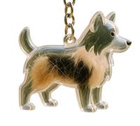 Kfwfuaee Clear Pet Memorial Jewelry Porte-clés en plastique pour animaux de compagnie Porte-poils de chien Collector Souvenir pour propriétaires de chiens en deuil Cadeaux propriétaires de clés
