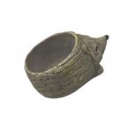 Kfwfuaee Dessin animé Succulent Planteur Tortue/Escargot/Hérisson Support de plantes Récipient en résine pour la décoration du bureau à domicile Pots de plantes décoratifs