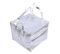KFXYSM Sac Isotherme Livraison,Sac à Pizzas DÉJEUNER Cooler Sac Isolant Pliant Pique-Nique Portable Pack De Glace Porte-Thermique Alimentaire À Boire Porte-Boissons Isolé(6 inch)