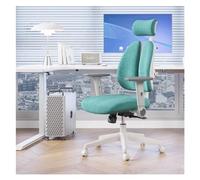 Kg2bVw9dP Chaise de Bureau Chaise de Bureau for Enfants, Chaise Ergonomique for Ordinateur, Travail d'ordinateur à Soutien Lombaire, adaptée aux familles, écoles et Bureaux Chaise d'ordinateur(Green)