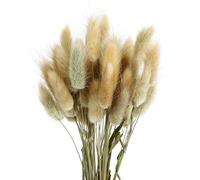 KGDUYC 50 Pieces Natural Hare's Tail Grass Decoration, Native Hare's Tail Grass, Hare's Tail Grass Dried Flowers, Wedding Bouquets, Decorating at Home with Bohemian Flowers, Rustic Farmhouse Party