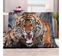 KGSK Couverture en Flanelle 3D Animal Tigre Peinture pour Enfants Et Garçons, Sherpa pour Adultes 80x100Cm pour Lit Et Canapé, Plaid Cadeau Fille, Chaude Microfibre