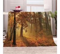 KGSK Couverture Lit 3D Soleil Automne Forêt Paysage Polaire Moelleuse Flanelle 180x200Cm 2 Personnes en Microfibre, Peluche Adulte Enfants, Plaid Canape Grande