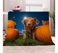 KGSK Douce Flanelle Couverture Lit 2 Personnes en Microfibre 3D Chien Animal Brun Plaid Polaire 180x220Cm Adulte Enfants Chaud Et Doux en Peluche Plaid Canape Grande Taille Jeté De Canapé