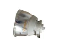 KGVBZBR Lampe de projecteur compatible avec les modèles NSHA300W, ELP95, EB-2055, EB-2065, EB-2155, EB-2155W, EB-2165W, EB-2245U, EB-2250 et EB-2250U.(OB)
