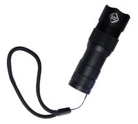 kh-security Pro Alarm 300150 Lampe de poche avec dragonne, avec interface USB à batterie 300 lm 99 g