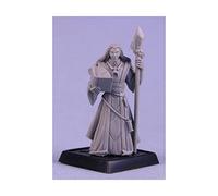 Khalib, Runelord Apprentice Pathfinder Miniature by Reaper Miniatures