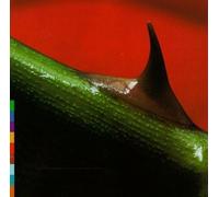 Nusrat Fateh Ali Khan – Night Song – Realworld