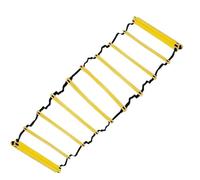 KHASCBNF Échelle D’Agilité Échelle de Corde Fixe for entraînement d'agilité Football, échelle, Vitesse for Enfants, Physique, équipement d'échelle Saut Échelle De Rythme(Color 6M 12Rung)