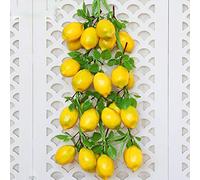 KHBNHJ Lot de 4 guirlandes de citrons artificiels de 52 cm, guirlande de fruits à suspendre avec citrons jaunes et feuilles vertes, guirlande de printemps d'été pour la maison, la cuisine, la fête,