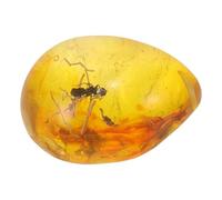 KHBUAB Pendentif Spécimen D'insecte en Résine Ambre Jaune Réaliste, Ornement Décoratif pour Maison et Projet Diy, Bijou Multifonction