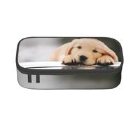 KHDKLXOHZ Trousse à crayons de grande capacité avec compartiment pour filles et garçons Motif chien paresseux, 3D, Taille unique, Cartable