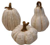 khevga ensemble de citrouilles décoratives décoration automne khevga (blanc)