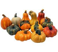 khevga Lot de 12 citrouilles décoratives en Terre Cuite