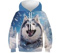 KHHKJBVCE Husky Sweat À Capuche 3D pour Enfants, Sweat-Shirt À Capuche pour Adolescentes Et Garçons, Imprimé Unique, Confortable, Pull De Loisirs avec Poche 10-12Y