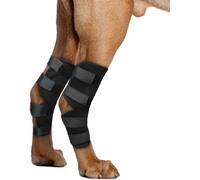 KHIRY Attelle de Jambe de Chien pour Pattes de Jarret arrière, genouillère de Chien pour Soutien de Hanche arrière déchiré, Soutien de guérison postérieure pour Chien, arthrite (Moyen)